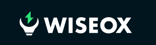 WiseOx Logo